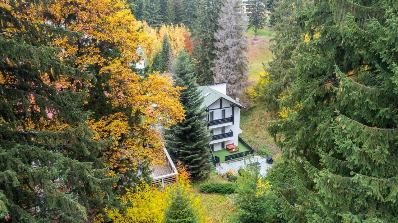 Family Treez Premium Apartments Poiana Brasov Exteriör bild